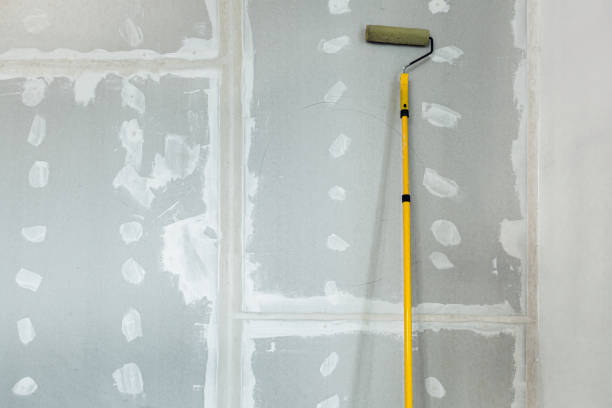 Mold Documentation for Insurance Claims in Edwardsville, IL