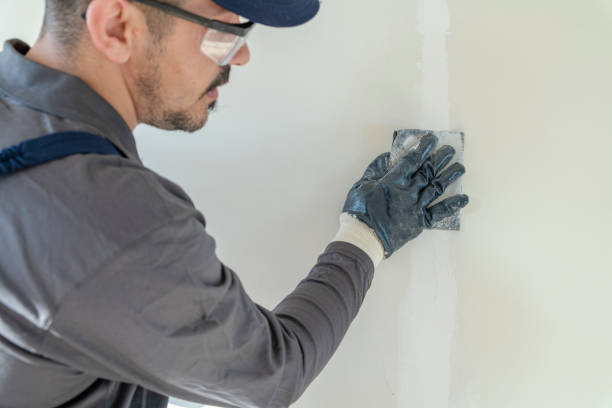 Trusted Edwardsville, IL Mold Removal Experts