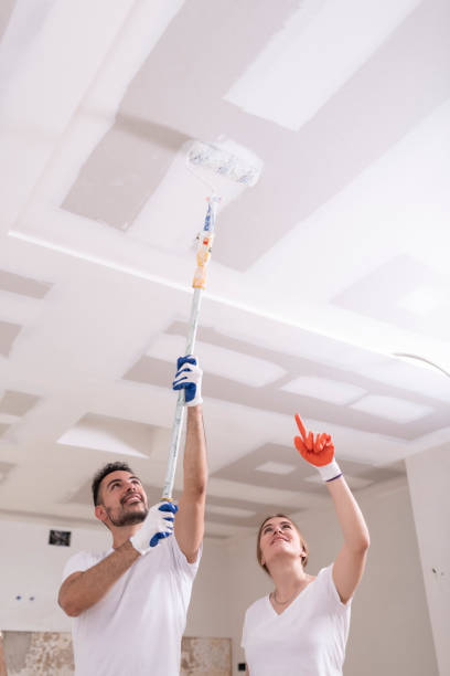 Best Basement Mold Removal  in Edwardsvle, IL